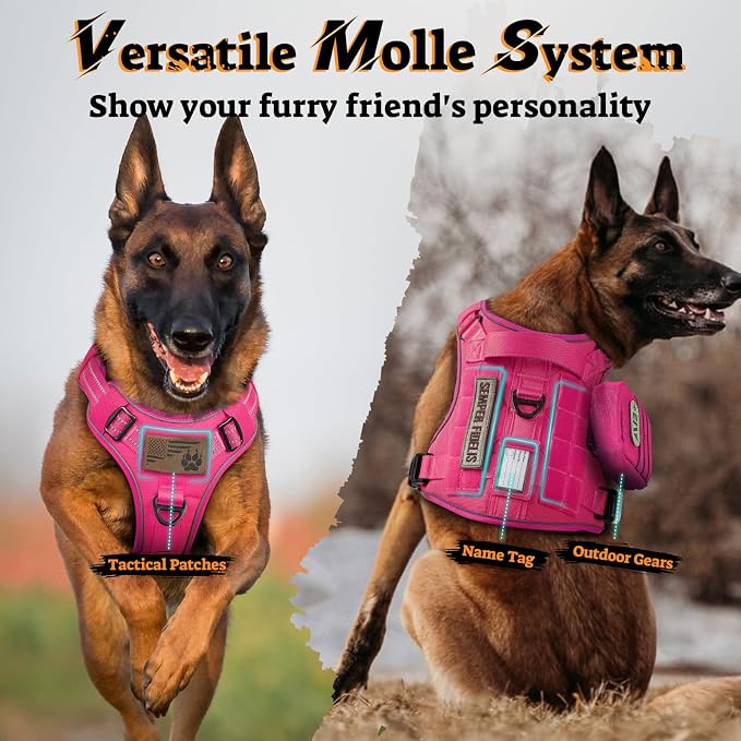 rabbitgoo Tactical Dog Harness for Large Dogs, No Pull Service Pet Vest | Military Molle System & Easy Control Handle, Adjustable and Reflective for Walking and Training, Rose Red, X-Large