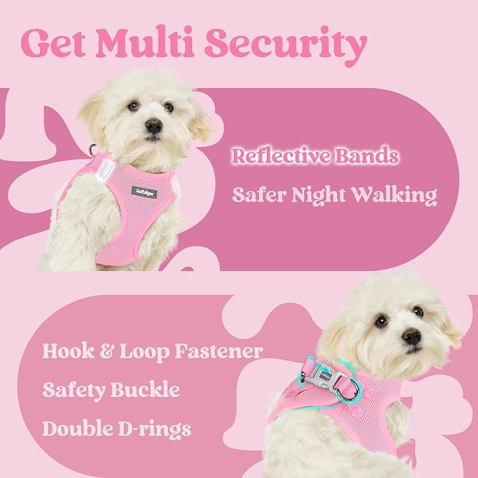 rabbitgoo Step-in Small Dog Harness, Puppy Vest for Small Sized Pet | Easy Put on and off, Lightweight, Soft, Breathable Quick-Dry Air Mesh for Comfortable Secure Walking, Light Pink M