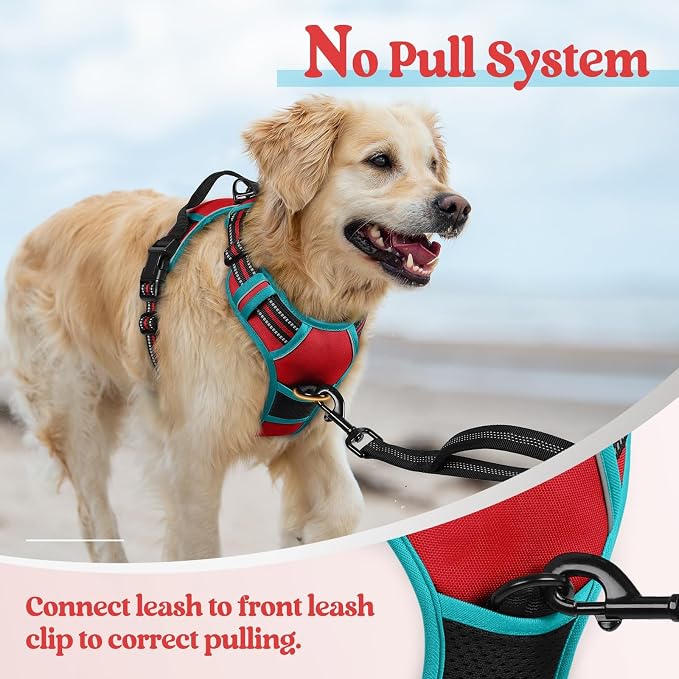 rabbitgoo Dog Harness, No Pull Medium Sized with 2 Leash Clips, Pet Vest | No Choke with Handle, Adjustable Soft Padded, Reflective, Easy Control for Walking, Red & Teal, Medium