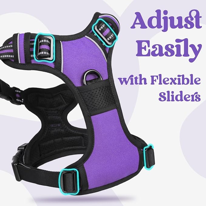 rabbitgoo Dog Harness Medium Sized, Updated Easy On & Off with 3 Buckles | No Pull No Choke, Walking with 2 Clips and Handle, Adjustable Soft Reflective, Purple, Medium