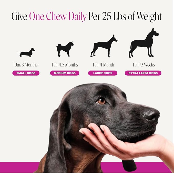 Pet Honesty Vet Recommended Max Strength Dog Multivitamin, 90 Ct, Salmon | 15-in-1 Dog vitamins with glucosamine, probiotics & omega-3, salmon, supports hip & joint stiffness, digestion & heart health