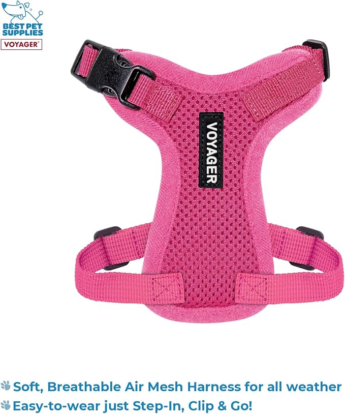 Best Pet Supplies Voyager Step-in Lock Pet Harness w Reflective Pet Leash Combo Set with Neoprene Handle 5ft - Supports Small, Medium and Large Breed Puppies/Cats - Fuchsia Set, XXXS