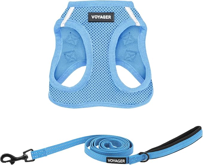 Best Pet Supplies Voyager Step-in Air All Weather Mesh Harness and Reflective Dog 5ft Leash Combo with Neoprene Handle, for Small, Medium and Large Breed Puppies - Baby Blue, XX-Small