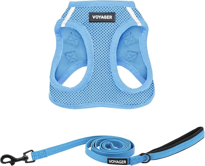 Best Pet Supplies Voyager Step-in Air All Weather Mesh Harness and Reflective Dog 5ft Leash Combo with Neoprene Handle, for Small, Medium and Large Breed Puppies - Baby Blue, XXX-Small