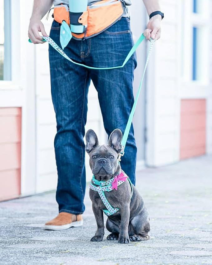 Blueberry Pet Step-in Dog Harness Velvety Heart Flocking Valentine’s Day Adjustable Harnesses for Medium Dogs, Mint Green, Chest Girth 20" - 26"