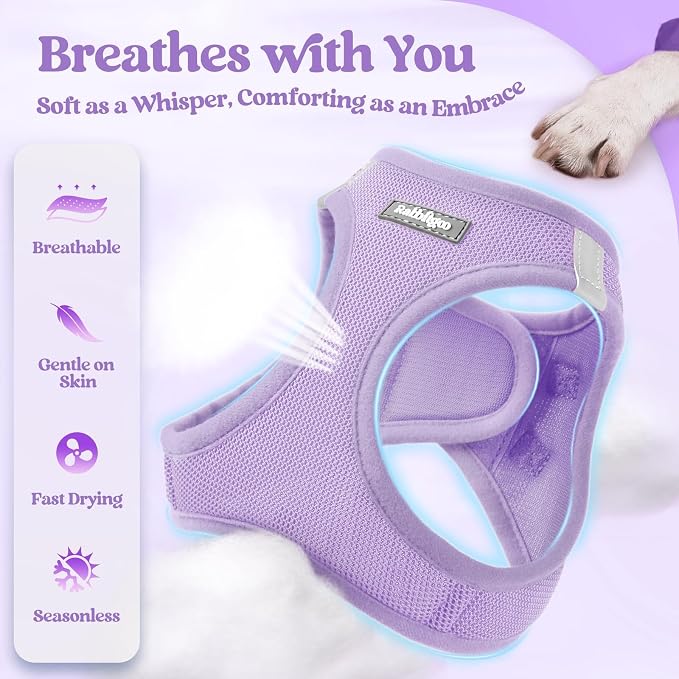 rabbitgoo Dog Harness Medium Sized and Leash Set, Step-in Puppy Pet Vest | Light, Soft, Breathable Air Mesh, Easy on and Remove with Hook & Loop, Secure Reflective for Walking, Light Purple L