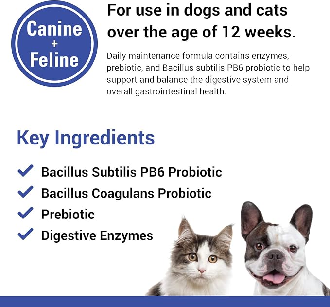 Vet Classics Protegrity EZ Probiotic Supplement for Dogs & Cats - 8 Oz
