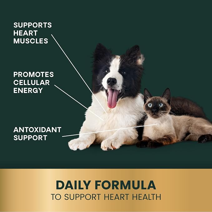 VetriScience CoQ10 Healthy Heart Capsules for Dogs and Cats, 120 Count