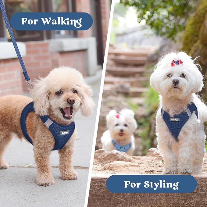 rabbitgoo Step-in Small Dog Harness, Puppy Vest for Small Medium Sized Pet | Easy Put on and off, Lightweight, Soft, Breathable Quick-Dry Air Mesh for Comfortable Secure Walking, Navy Blue XL