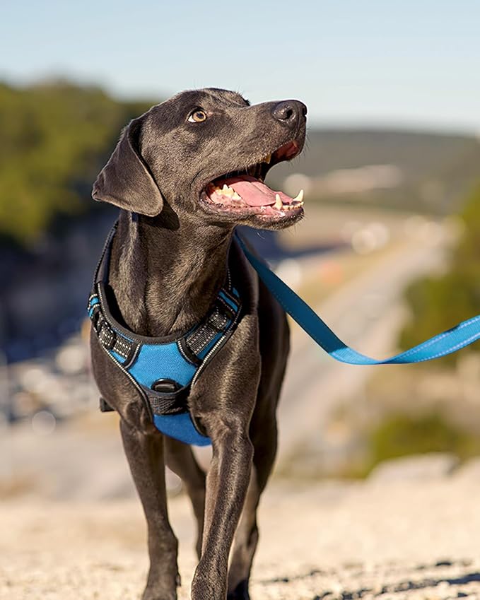 Joytale Dog Harness (Chest: 12-21"), Dog Collar and 6FT x 3/4" Wide Dog Leash Set, Reflective Padded Nylon Collar and Leash, Adjustable Soft Harness with Handle for Dogs