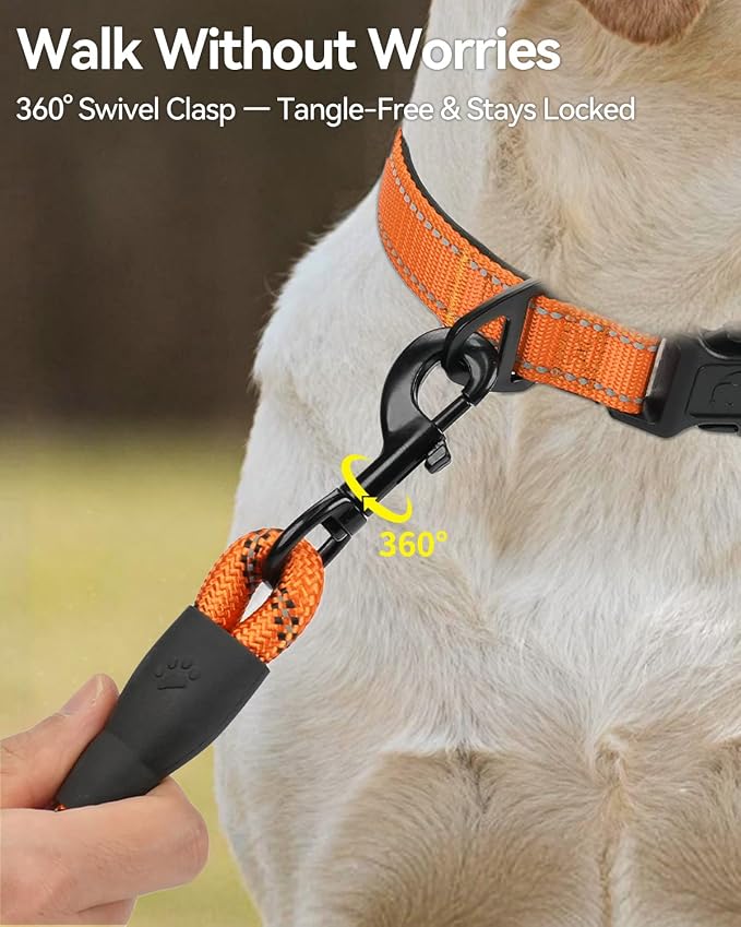 Joytale Rope Dog Leash for Small Dogs, Padded Handle, 5FT, Orange | Reinforced Nylon Webbing, Comfort Grip Eases Hand Strain, Swivel Clip Prevents Tangles, Visible at Night, for Outdoor Walks