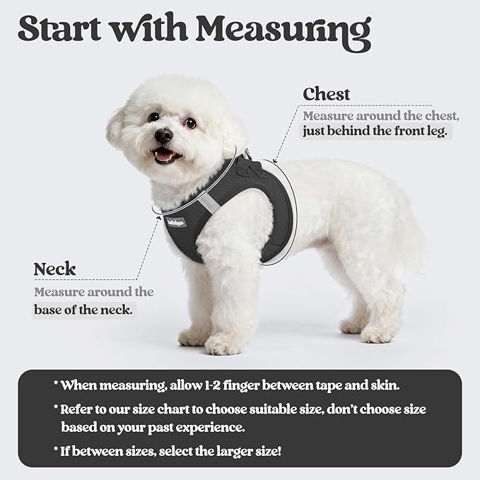 rabbitgoo Dog Harness Small Sized and Leash Set, Step-in Puppy Pet Vest | Light, Soft, Breathable Air Mesh, Easy on and Remove with Hook & Loop, Secure Reflective for Walking, Black M