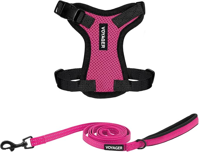 Best Pet Supplies Voyager Step-in Lock Pet Harness w Reflective Pet Leash Combo Set with Neoprene Handle 5ft - Supports Small, Medium and Large Breed Puppies/Cats - Fuchsia/Black Trim, XXXS