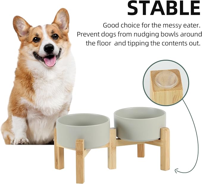 Havniva 6.1” Dog Bowls Elevated Ceramic Dog Food and Water Bowl Set, Double Raised Dog Water Bowl with Stand Non-Slip Rubber Base Two Heights Large Capacity Pet Food Bowl for Small & Medium Dogs