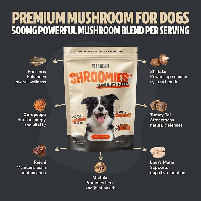 FreshCap Mushrooms Shroomies - 13 in 1 Turkey Tail Mushroom for Dogs, Super Blend Mushroom Supplement for Dogs, Dog Immune Support, Calming Treats (180 Soft Chews) (Pack of 2)