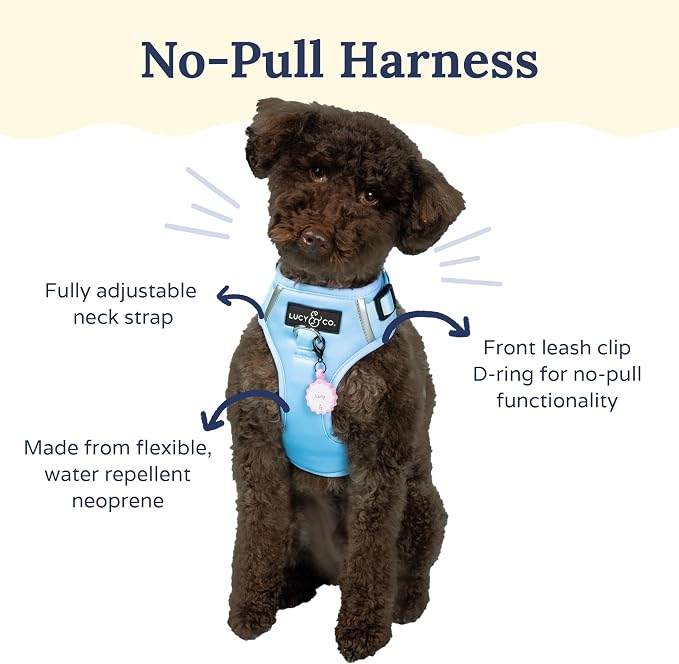 Lucy & Co. The Denim No-Pull Dog Harness - Size X-Small - Vest to Stop Pulling & Walk Easy - Comfortable Leash Training Product w/Adjustable Chest & Neck Straps