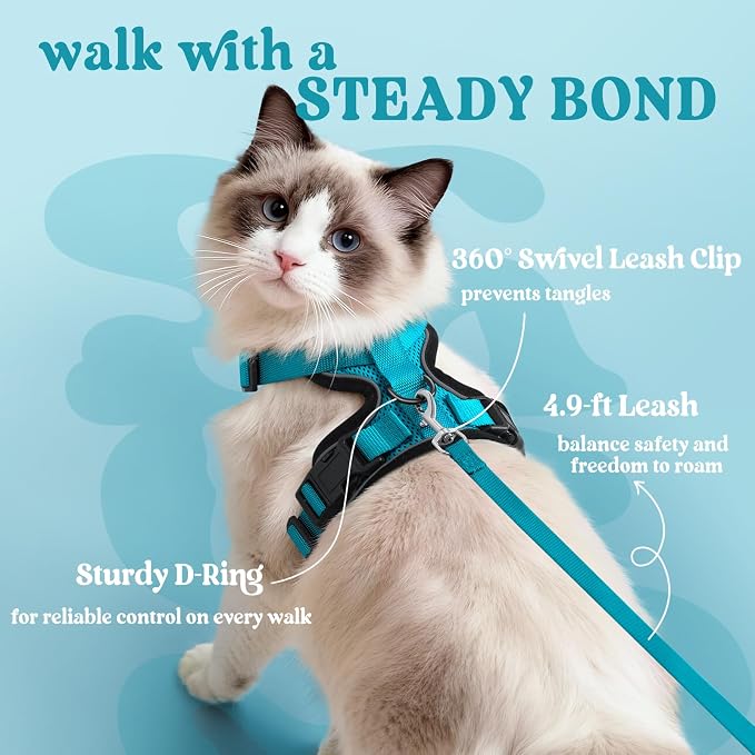 rabbitgoo Cat Harness and Leash Set, Escape Proof Vest, Teal | Soft Breathable Mesh, Easy Adjustable Fit, Snap Buckles, Sturdy Clip, Reflective Strips, for Small & Average Cats Walks, Xs