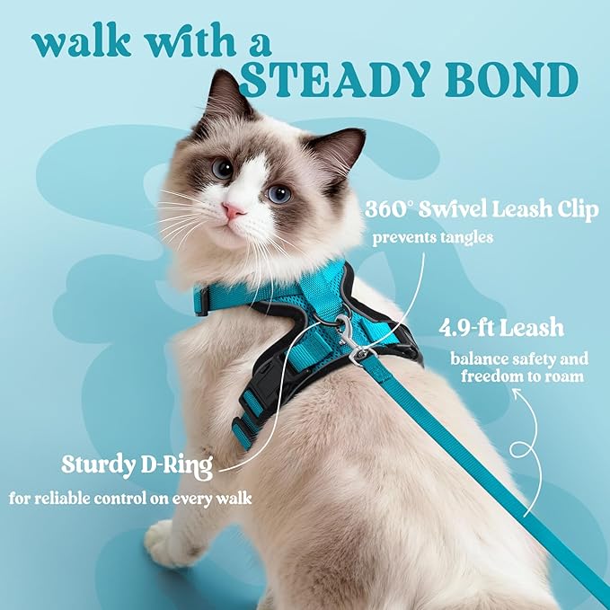 rabbitgoo Cat Harness and Leash Set, Escape Proof Vest, Teal | Soft Breathable Mesh, Easy Adjustable Fit, Snap Buckles, Sturdy Clip, Reflective Strips, for Average Cats Walks, S