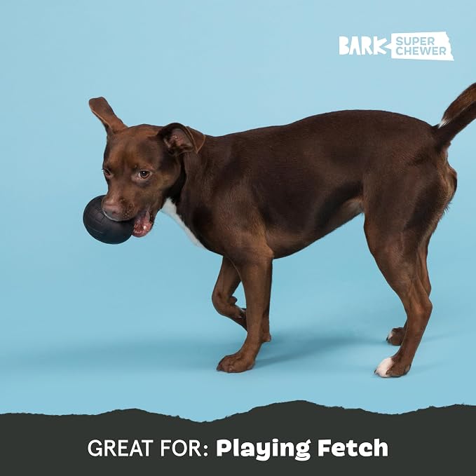 BarkBox Super Chewer Tough Dog Chew Toys - Large | for Aggressive Chewers, Treat Dispensing Origin