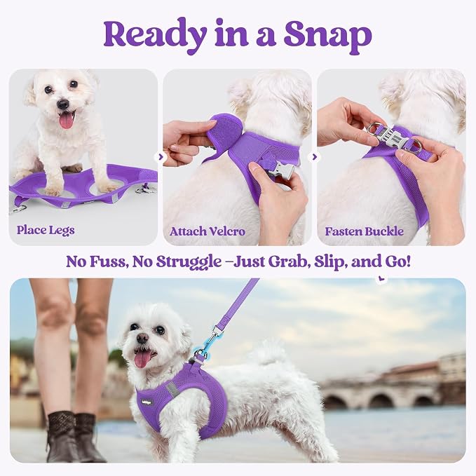 rabbitgoo Dog Harness Small Sized and Leash Set, Step-in Puppy Pet Vest | Light, Soft, Breathable Air Mesh, Easy on and Remove with Hook & Loop, Secure Reflective for Walking, Purple M