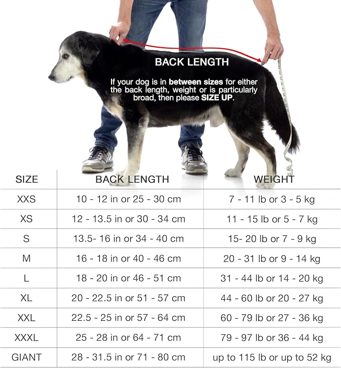 Lucky Pooch® Dog Robe - Luxurious Dog Bathrobe - Ultra Absorbent Dries Your Dogs in Minutes! Double-Layer, Super Soft Towel and Bath Robe All in One (XL, Aubergine)