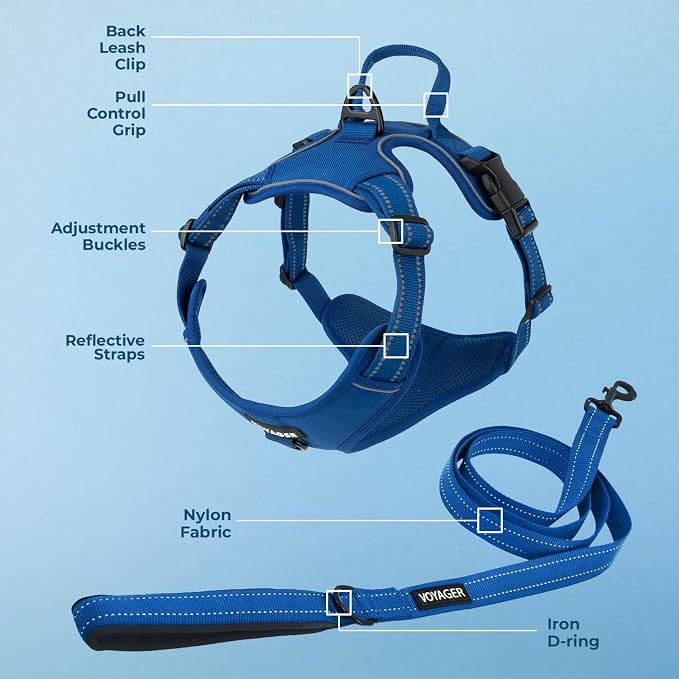 Voyager Dog Harness Dual Leash Attachment No-Pull Control Adjustable Soft but Strong Pet Harness for Medium and Large Dogs with 3M Reflective Technology, Leash Set Royal Nylon, L (Chest: 25-30")