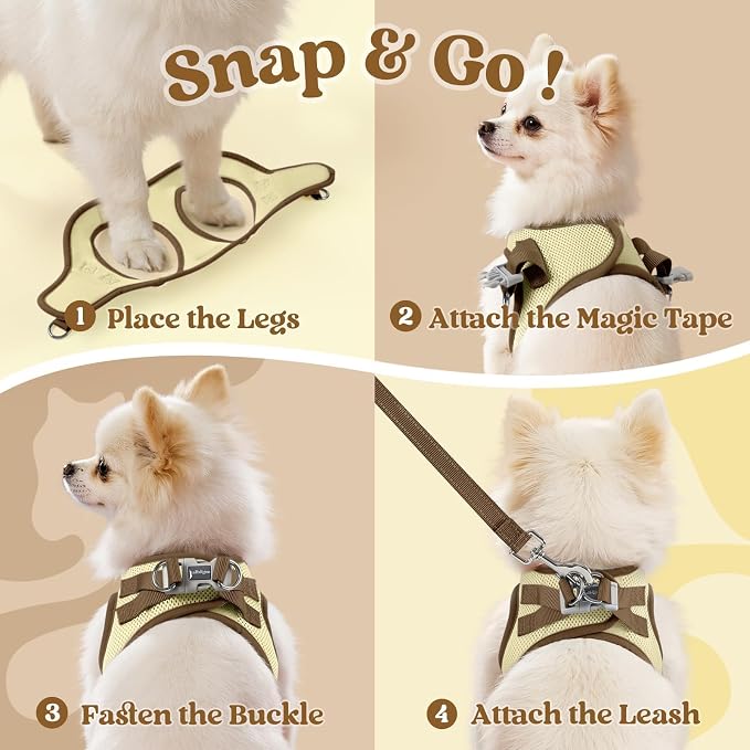 rabbitgoo Dog Harness Small Sized and Leash Set, Step in Soft Vest | Breathable Mesh, Easy Wear with Hook & Loop, Light and Reflective for Walking, Multi-colored, Beige & Coffee, S