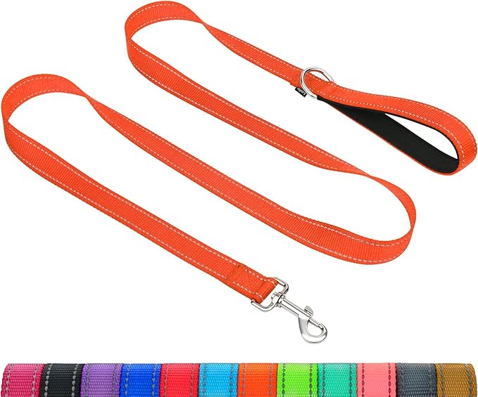 Taglory Reflective Dog Leash for Medium Large Dogs, 1in x 6ft, Orange | Ideal for Night Walking, Strong for Sudden Pulls, Lightweight & Gentle on the Neck, Soft Padded Handle
