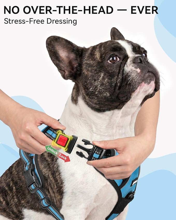 Joytale No Pull Dog Harness & Seat Belt, Easy On 3-Buckle, S, Sky Blue | Front Clip Reduces Pulling, Escape-Resistant Design, Adjustable Fit, Soft Padding for Comfort, Secure Tether for Safer Travel