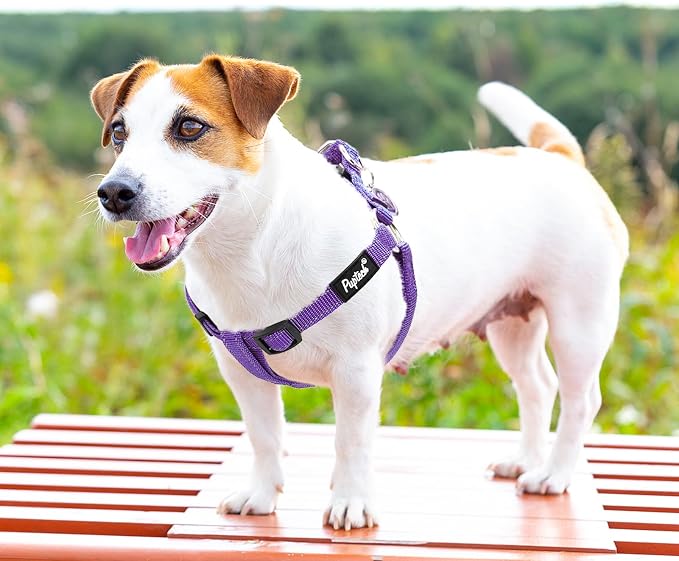 PUPTECK No Pull Dog Harness Small Sized Step-in Adjustable Puppy Vest | Soft Webbing Basic Halter with ID Tag for Outdoor Walking