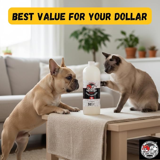 Bunny Punch Pure Atlantic Salmon Oil for Dogs & Cats - Liquid Food Topper - 32 oz