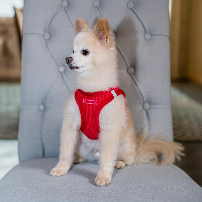 Best Pet Supplies Voyager Step-in Plush Dog Harness - Soft, Step in Vest Harness and Reflective Dog 5 ft Leash Combo with Neoprene Handle for Small and Medium Dogs, Red Corduroy, XS