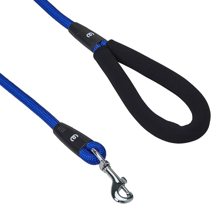 Blueberry Pet Dog Leash & Collar Set - Puppy Essentials for Small Dogs, Heavy Duty Dog Leashes for Large Dogs, Blue Adjustable Neoprene Padded Collar & 4ft Rope Leash, Award-Winning Brand