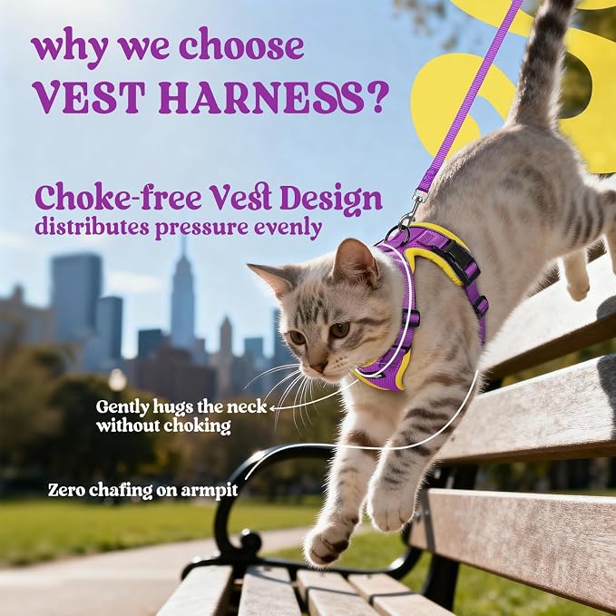 rabbitgoo Cat Harness and Leash Set, Escape Proof Vest, Purple & Yellow | Soft Breathable Mesh, Easy Adjustable Fit, Snap Buckles, Sturdy Clip, Reflective Strips, for Small & Average Cats Walks, Xs