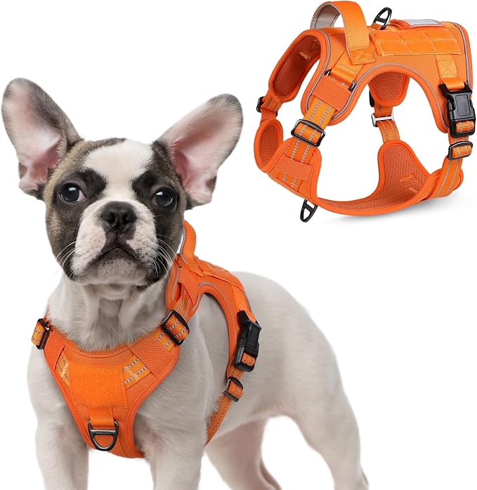 rabbitgoo Tactical Dog Harness for Small, No Pull Military Service Vest | Molle & Handle, Heavy Duty, Adjustable, Reflective Straps, Easy Control for Training Walking, Orange, Small