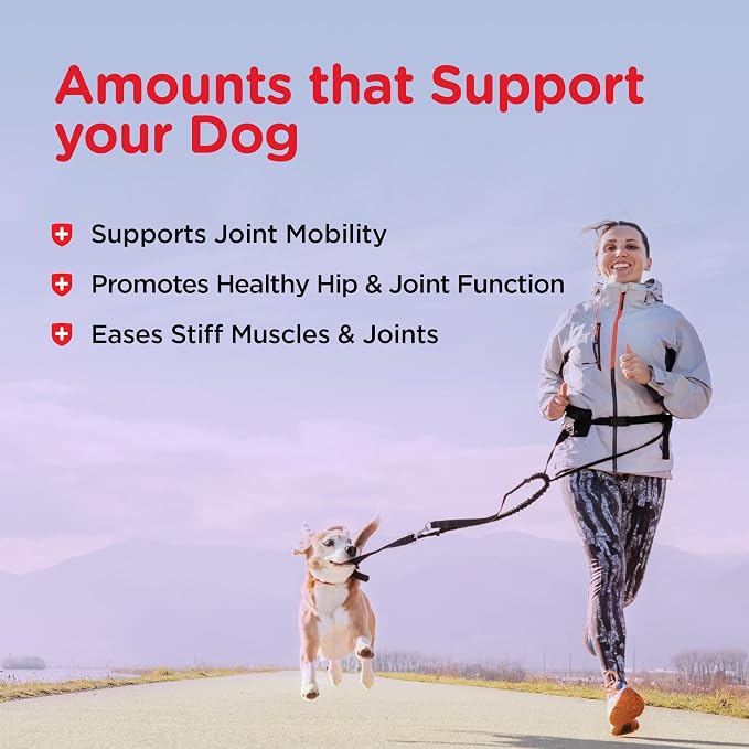 Nutri-Vet Hip & Joint Dog Biscuits, Dog Treats, 300mg Glucosamine, 6 lb Bag