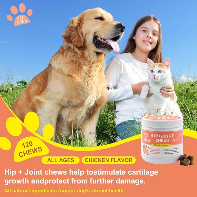 Chewable Bone Health for Dogs & Cats Promotes Tissue Repair, Supports Bones& Muscles, Digestive, Skin, Coat and Improved Nutrient Absorption, 120 Soft Chews.