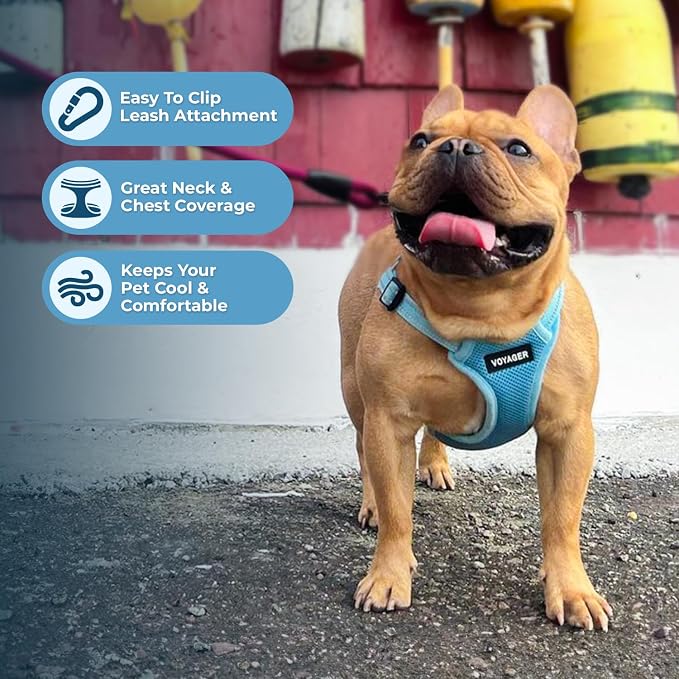 Best Pet Supplies Voyager Adjustable Step-in Flex Breathable Mesh Dog Harness for Small Medium Large Dogs Leash Set (Baby Blue), XS