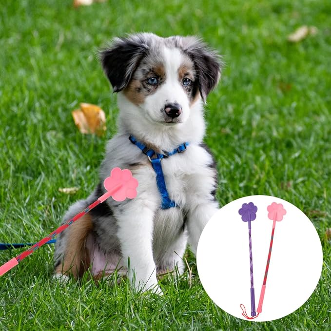 Balacoo Puppy Training Stick Pole, 2 Pcs