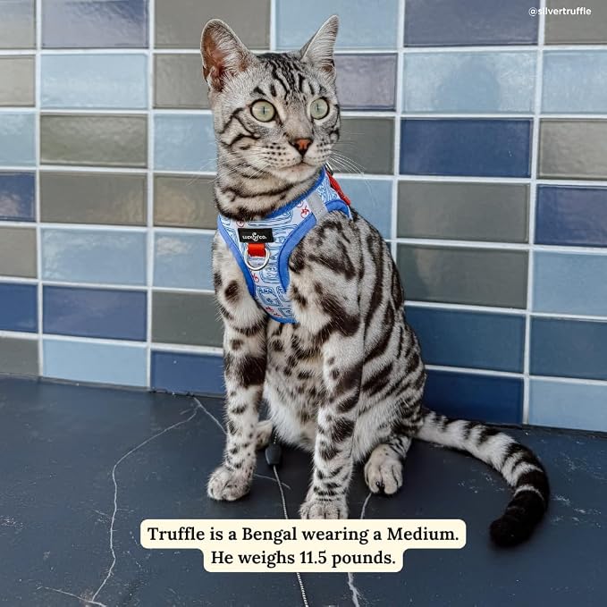 Lucy & Co. Tinned Fish Step-in Cat Harness & Leash Bundle – Reflective, Breathable & Adjustable Harness for Cats, Kittens & Small Dogs, Lightweight & Secure and Dual Leash Clips – Small