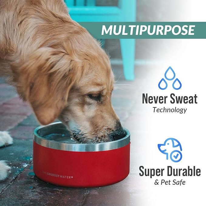 Coldest Dog Bowl - Anti Rust Metal, Non Slip, 3 Layers Insulated Stainless Steel Dog Bowls - Spill Proof & Heavy Duty - Water Bowl for Dogs, Cats & Pets, Dish Washer Safe (64 oz, Epic White)