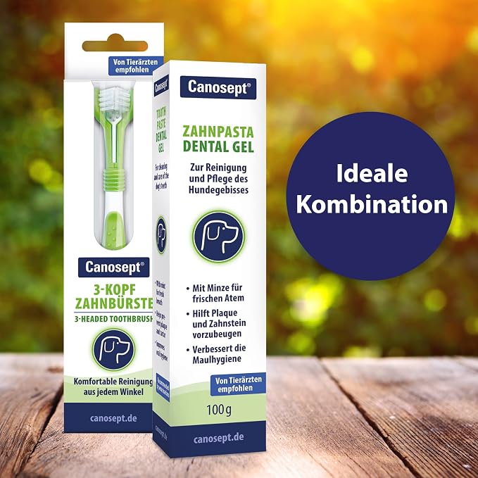 Canosept 3-Headed Dog Toothbrush - Dog Breath freshener - Dog Toothbrush Dog Teeth Cleaning Products - Plaque Remover for Dogs Teeth - Plaque Off for Dogs