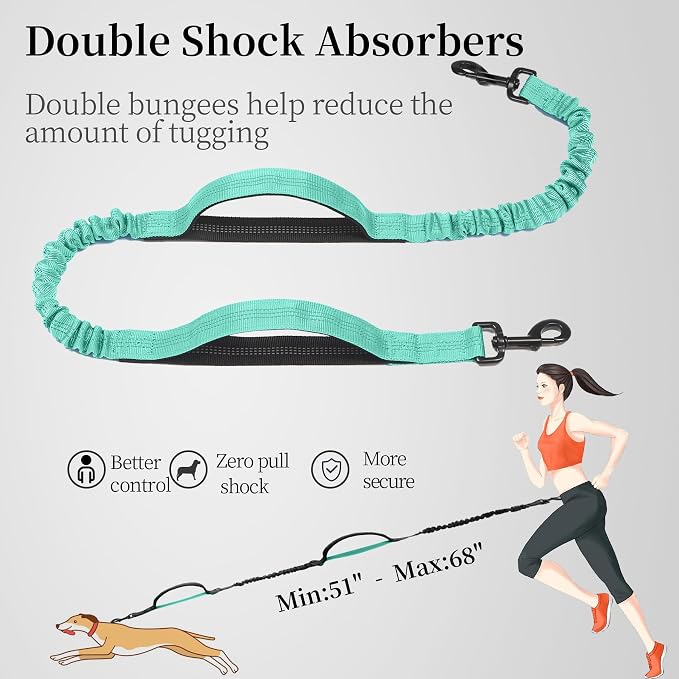 iYoShop Hands Free Dog Leash with Zipper Pouch, Large, 25-120 lbs, Teal | Waist Leash, Dual Padded Handles, Shock-Absorbing Bungee, Adjustable Waist Belt, Walking and Running