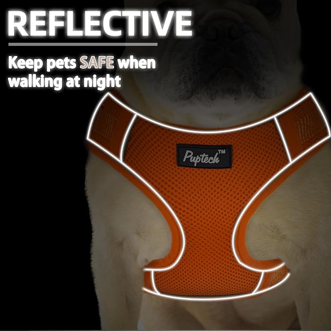 PUPTECK Dog Harness and Leash Set, No Pull Adjustable Pet Small Dog Harness, Reflective Soft Mesh Pet Vest, for Small Medium Dogs Walking, Orange, M