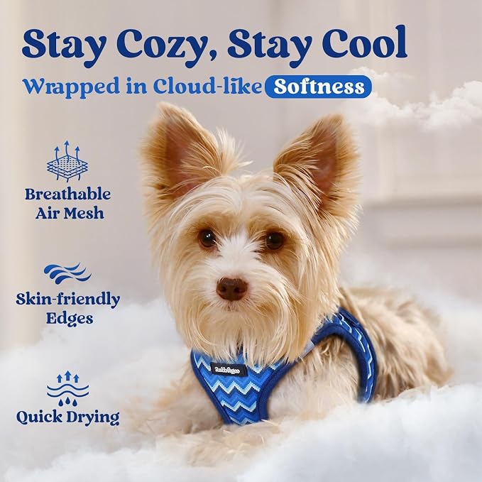 rabbitgoo Step-in Small Dog Harness, Puppy Vest for Small Sized Pet | Easy Put on and off, Lightweight, Soft, Breathable Quick-Dry Air Mesh for Comfortable Secure Walking, Blue Zigzag S