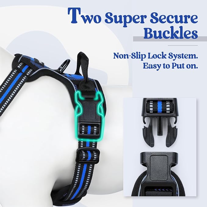 rabbitgoo Dog Harness, No Pull for Large Dogs with 2 Leash Clips, Pet Vest | No Choke with Handle, Adjustable Soft Padded, Reflective, Easy Control for Walking, Blue Plaid, Small