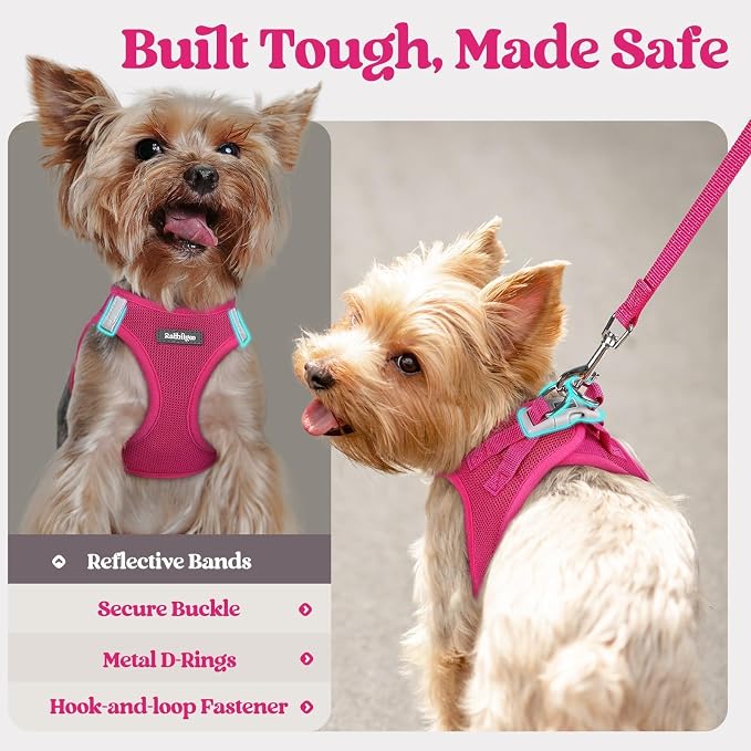 rabbitgoo Dog Harness Small Sized and Leash Set, Step-in Puppy Pet Vest | Light, Soft, Breathable Air Mesh, Easy on and Remove with Hook & Loop, Secure Reflective for Walking, Rose Red XXXS