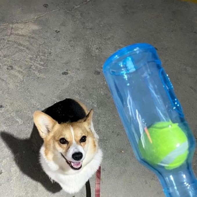 LELEBEAR Dogs Play Bottle Toy, Interactive Dog Chew Toy with Tennis Ball, Dog Toys Water Bottle Cruncher (Green+Yellow, Large: 9.64 * 2.95in)