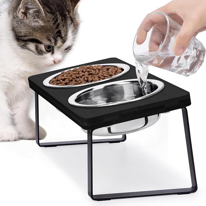 Elevated Cat Bowls for Food and Water - Loplurea 15° Tilted Raised Stainless Steel Cat Food Bowl with Black Bamboo Stand and Anti Vomit Feeding Station for Indoor Kittens and Pet