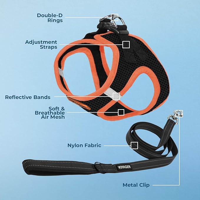Best Pet Supplies Voyager Step-in Air All Weather Mesh Harness and Reflective Dog 5ft Leash Combo with Neoprene Handle, for Small, Medium and Large Breed Puppies - Black/Orange Trim, Large